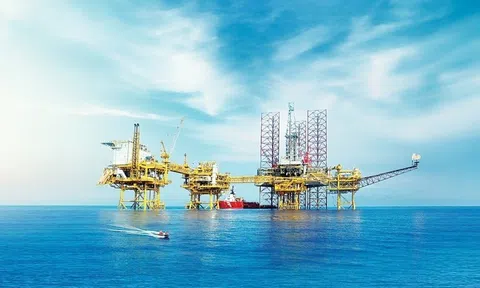 Phó Giáo sư, Tiến sĩ Nguyễn Chu Hồi giải mã "tập đoàn triệu tỷ" của Việt Nam