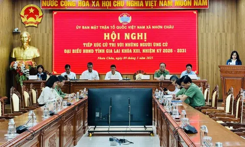 Biển động, ứng cử viên đại biểu HĐND Gia Lai tiếp xúc cử tri trực tuyến với xã đảo