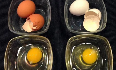 Trứng vỏ trắng hay vỏ nâu tốt hơn? Đáp án khiến nhiều người bất ngờ