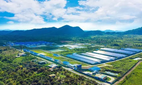 De Heus bắt tay Hùng Nhơn đầu tư 18.300 tỷ đồng thúc đẩy chuỗi chăn nuôi bền vững, mở đường cho xuất khẩu, hướng tới doanh thu 2 tỷ USD mỗi năm