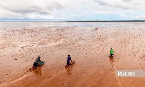 Độc đáo nghề “chạy mong” trên bãi bồi ven biển Mỏ Ó