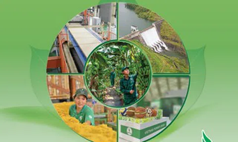 Hiệu quả từ tinh gọn bộ máy, mở rộng dư địa phát triển mới của VRG