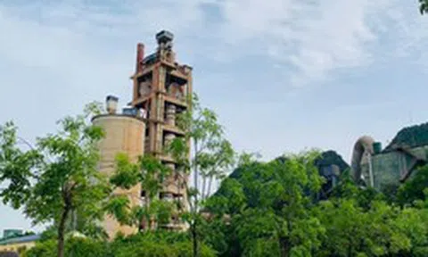 Vì sao Xi măng Sông Lam 2 bị xử phạt?