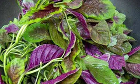 5 loại rau rất ít bị phun thuốc trừ sâu, ăn cực ngon miệng, chợ Việt bán chỉ vài ngàn một mớ