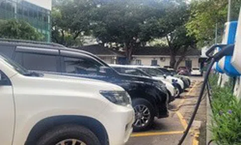 Thủ tướng: Nghiên cứu, ban hành chính sách khuyến khích phát triển xe điện