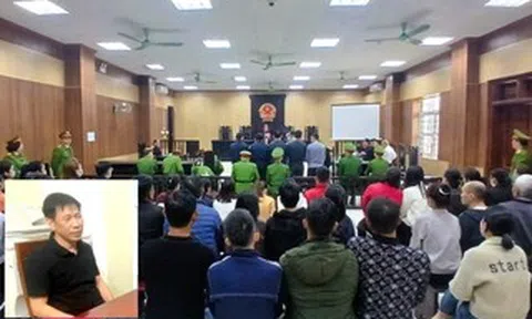 Mạnh "gỗ" lĩnh 10 năm tù, 2 trong 4 cựu cán bộ kiểm lâm lĩnh án treo