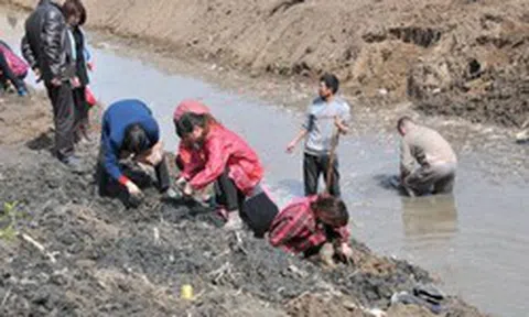 Công trường dừng thi công khẩn cấp vì máy xúc đào trúng vật cứng chứa hiện vật nặng hơn 100kg, con mương rộng 6m bị phong tỏa