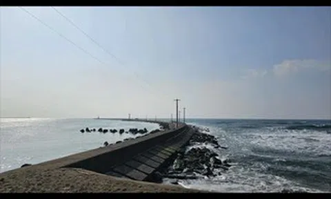 8 người Việt gặp nạn tại Nhật Bản, 1 người tử vong, 3 người mất tích