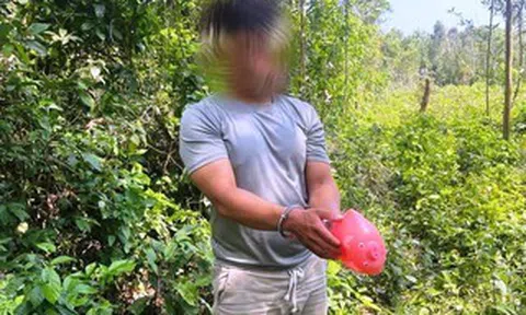 Bắt giữ thành công đối tượng chuyên mặc áo mưa khi gây án