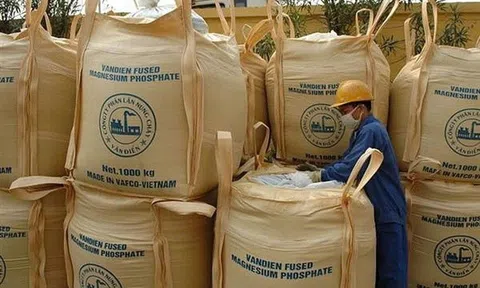 Phân lân Văn Điển trước "án" rời sàn HoSE bắt buộc