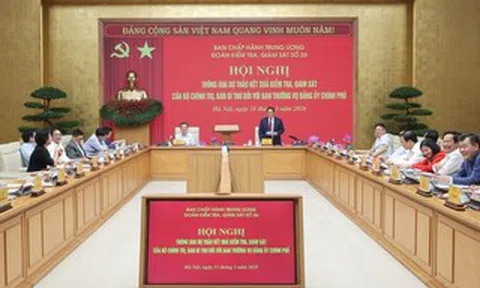 Thông qua Báo cáo kiểm tra, giám sát của Bộ Chính trị đối với Ban Thường vụ Đảng ủy Chính phủ