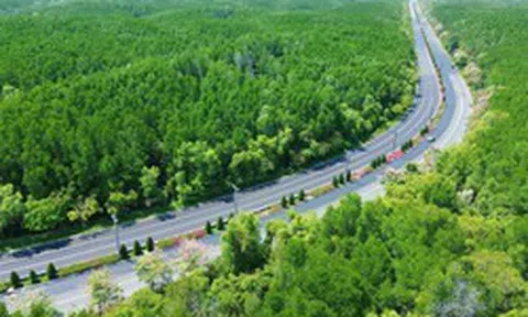 Vingroup đề xuất mở đường Rừng Sác lên 10 làn xe, nối đến khu đô thị Cần Giờ