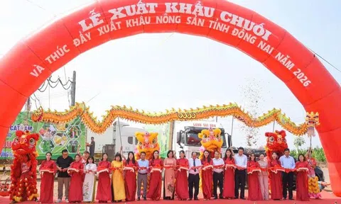 Đồng Nai xuất khẩu 220 tấn chuối, mở rộng thị trường nông sản năm 2026