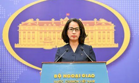 Việt Nam đã triển khai các hoạt động ngoại giao năng lượng ở cấp cao và các cấp