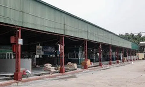Cận cảnh lò mổ tuồn gần 300 tấn lợn bệnh vào trường học, chợ đầu mối ở Hà Nội