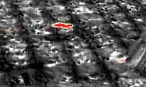 Sinh vật bí ẩn phá nát vườn chuối suốt 2 tuần: 60 người truy tìm khi camera nhiệt ghi lại bóng dáng lạ