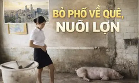 Nữ tiếp viên hàng không bỏ phố về quê nuôi lợn: 2 tháng “thắng đậm”, doanh thu hơn 770 triệu đồng