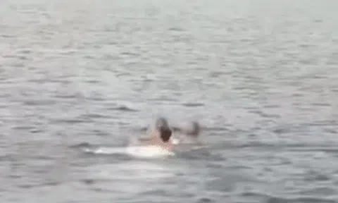 Diễn viên Bạch Tử Hiên nhận 'cơn mưa' lời khen khi lao xuống biển cứu 2 cô gái đuối nước