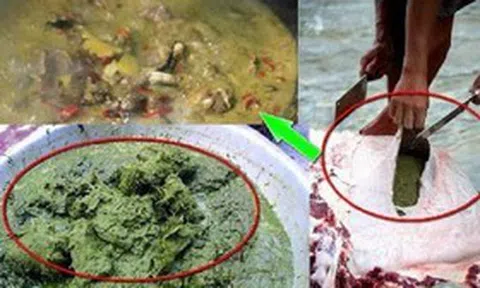 Nghe tên đã rùng mình, đặc sản này lại được xem là món ngon thượng hạng