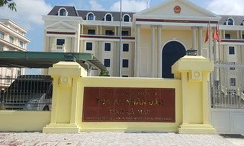 Sắp xét xử thêm một vụ án liên quan bà Nguyễn Thị Thanh Nhàn