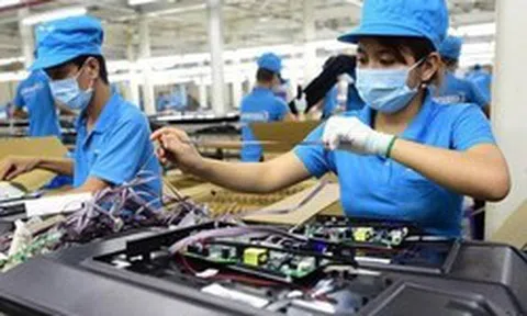 Phát triển kinh tế tư nhân: Lớn mạnh bằng thực lực, trưởng thành bằng công nghệ, cạnh tranh bằng năng suất, phát triển trên nền tảng niềm tin thể chế vững chắc