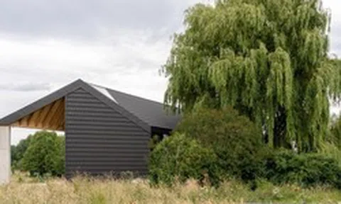 5 loại cây không nên trồng trước cửa nhà, vừa ảnh hưởng phong thủy lại có thể gây hại cho gia chủ