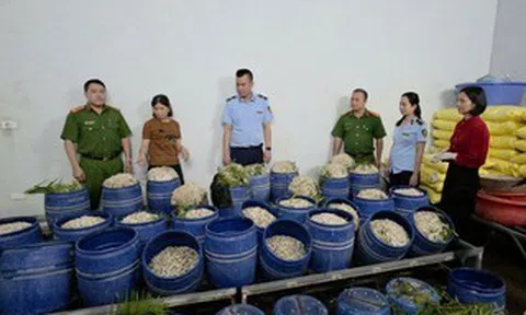 Bắt 2 chủ cơ sở sản xuất giá đỗ bằng chất cấm  nguy cơ gây ung thư