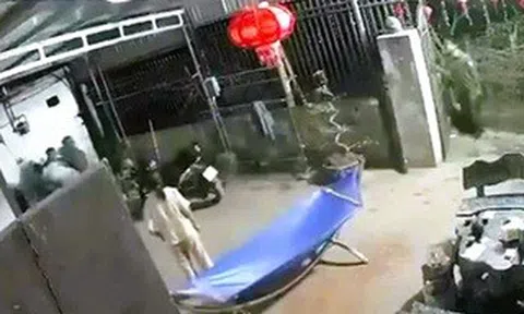 Một trưởng thôn bị đâm tử vong