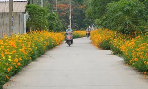 TPHCM: Xã đủ điều kiện khẩn trương hoàn thiện thủ tục lên phường