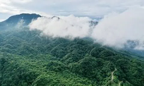 Việt Nam có 1 loài cực hiếm, chưa từng xuất hiện ở bất cứ đâu trên thế giới: Là cá nhưng lại có chân, sống ở độ cao 1.000-1.400m