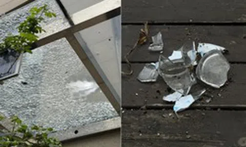 Tôi bán căn hộ tầng 1 sau 3 năm chịu đựng - chuyển lên tầng cao nhất mới hiểu: Chọn sai tầng có thể ảnh hưởng trầm trọng đến chất lượng sống