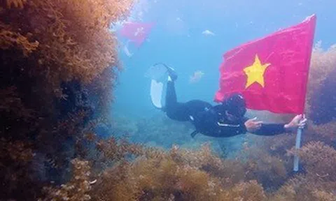 Mang cờ Tổ quốc xuống biển Quy Nhơn check-in, giới trẻ lan tỏa lòng yêu nước