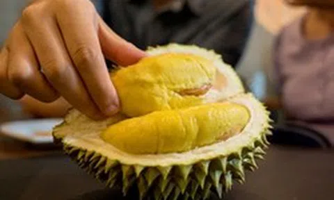 Lời khuyên cho các gia đình hay ăn sầu riêng