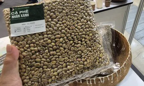 Giá cà phê hôm nay 2-5: Phục hồi nhẹ, Brazil được mùa cỡ nào?