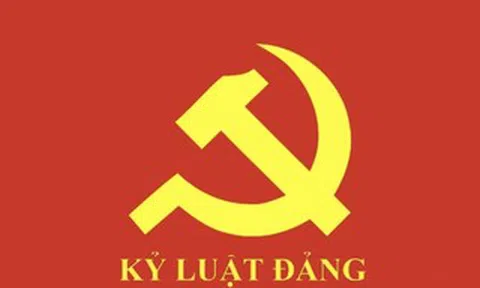 Ban Bí thư khai trừ ra khỏi Đảng 3 đảng viên vi phạm