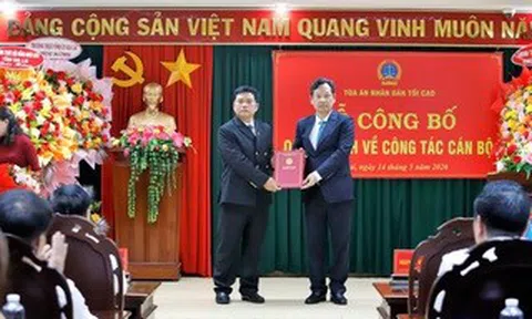 Ông Bùi Danh Đại làm Chánh án TAND tỉnh Gia Lai