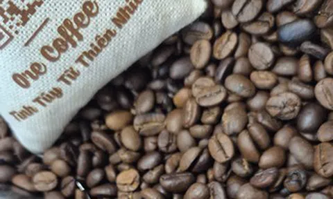 Giá cà phê hôm nay 23-5: Robusta tăng tiếp