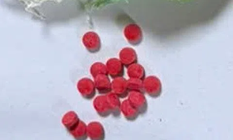 Triệt phá đường dây tàng trữ, tổ chức sử dụng trái phép chất ma túy, bắt giữ nhiều đối tượng