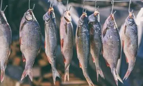 4 loại cá làm tăng nguy cơ mắc ung thư nếu lạm dụng: Thích tới mấy cũng phải hạn chế