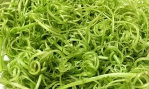 Phát hiện 5 loại rau bán đầy chợ có nguy cơ nhiễm ký sinh trùng cao bậc nhất, nhiều người không biết vẫn chủ quan
