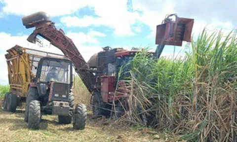 Đường lậu, không rõ nguồn gốc vẫn tràn lan