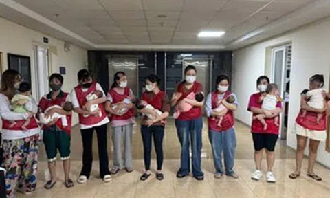 Triệt phá hoạt động môi giới mang thai hộ, mua bán trứng, thu lợi bất chính hàng trăm triệu đồng
