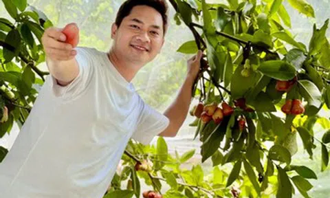 Nam diễn viên từ chức Phó Giám đốc về quê làm nông ở diện tích 3.000m2