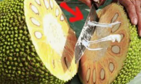 Bổ mít mà bôi thêm 1 lớp này, dao trơn tuồn tuột, vừa không lo dính nhựa, lại còn dễ vệ sinh