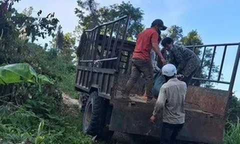 Vây bắt nghi phạm nổ súng giết người trong rừng sâu Gia Lai