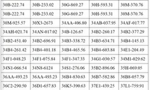 401 chủ xe có biển số sau khẩn trương nộp phạt nguội theo Nghị định 168