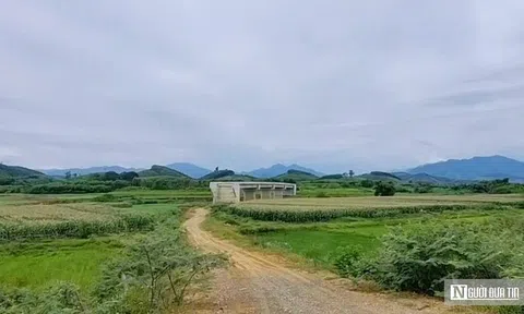 Nghịch lý cây cầu tiền tỷ ở Nghệ An: Bắc qua sông nhưng "cụt hai đầu"
