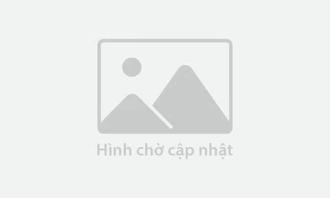 LẰN RANH: Khi yêu bóng đá sai cách