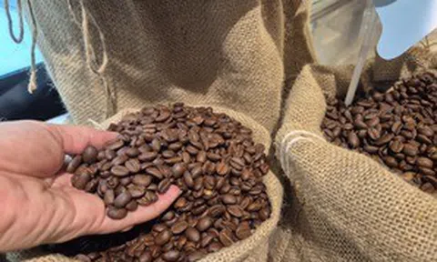 Giá cà phê hôm nay, 30-6: Arabica bật tăng, Robusta sụt giảm