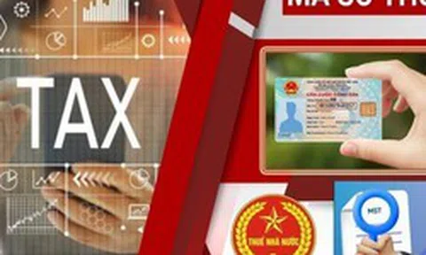 Cục Thuế phát cảnh báo nóng: Cho mượn CCCD để lập doanh nghiệp, bỏ địa chỉ kinh doanh, chưa giải thể đúng quy định sẽ bị rà soát